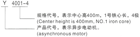 西安泰富西玛Y系列(H355-1000)高压龙圩三相异步电机型号说明