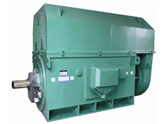 龙圩Y系列6KV高压电机一年质保